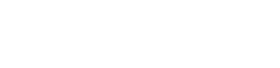 Veritas Dijital